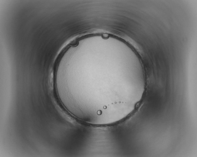 X0000110681126200906121200