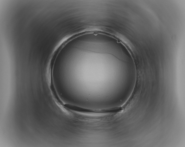 X0000110681127200906121200