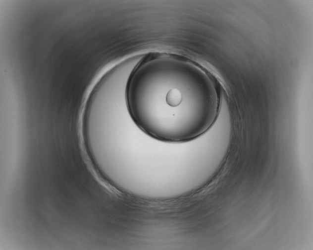 X0000110681128200906121200