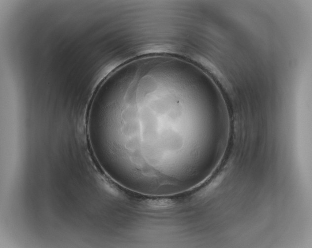 X0000110681129200906121200