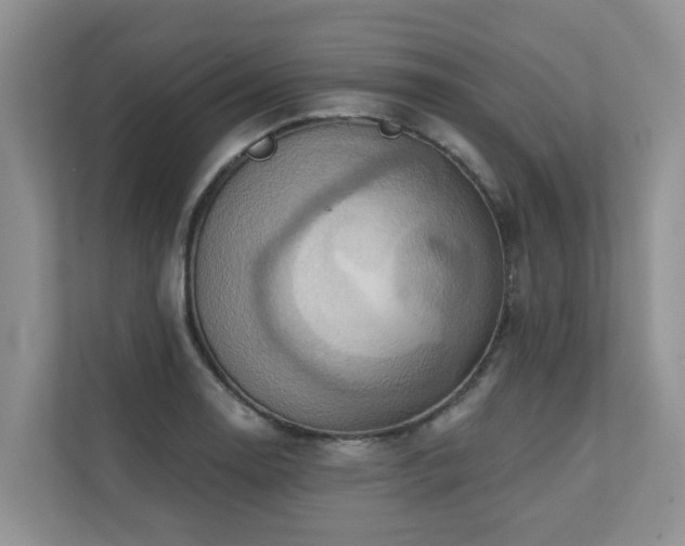 X0000110681130200906121200