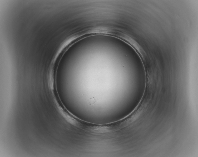 X0000110681131200906121200