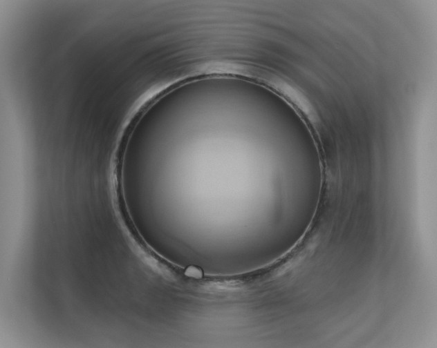 X0000110681133200906121200