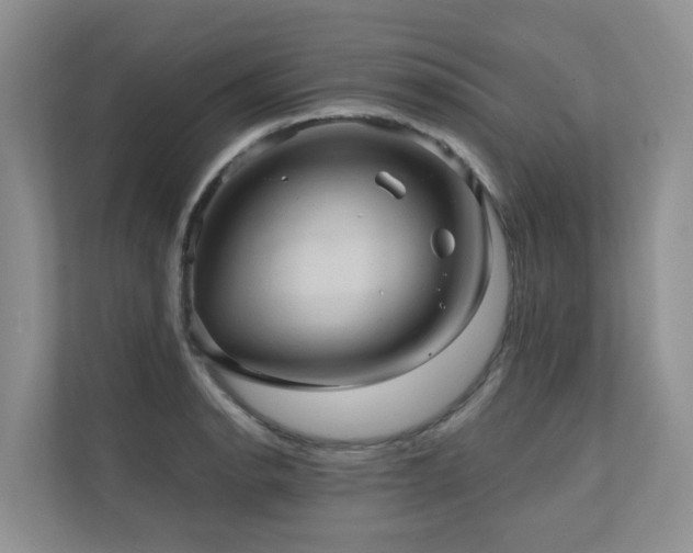 X0000110681134200906121201