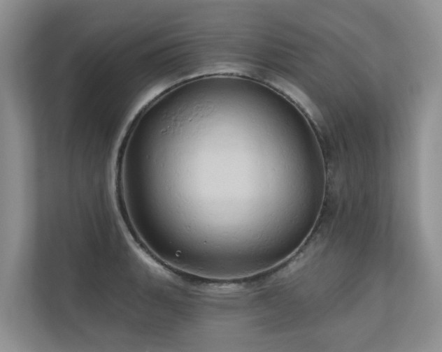 X0000110681135200906121201