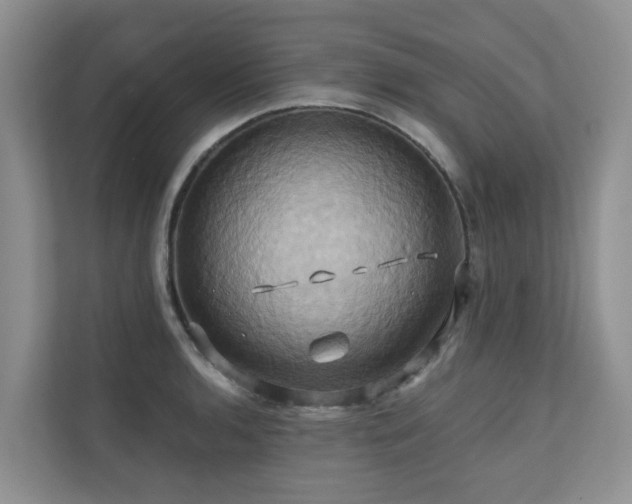 X0000110681136200906121201