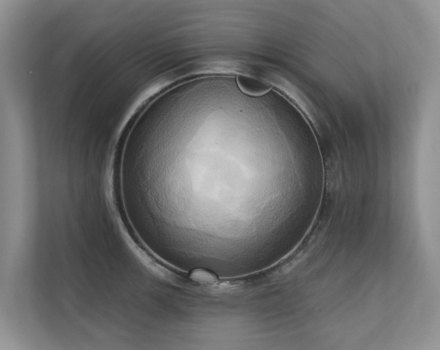 X0000110681139200906121201