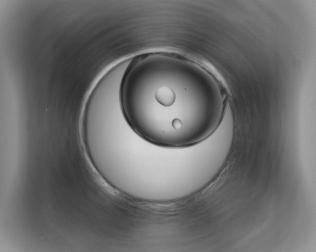 X0000110681140200906121201