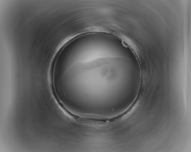 X0000110681141200906121201