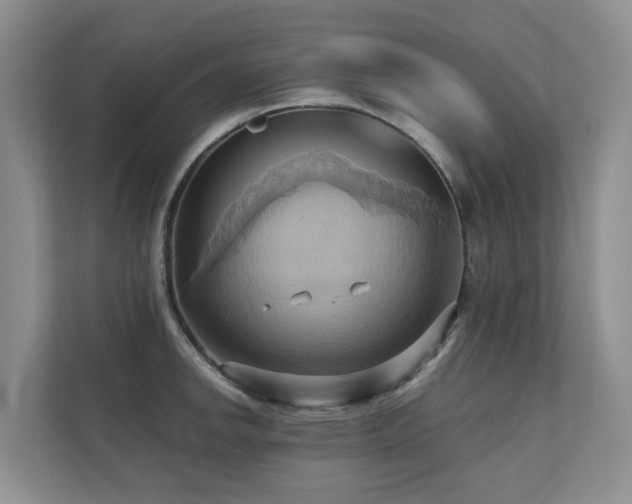 X0000110681142200906121201