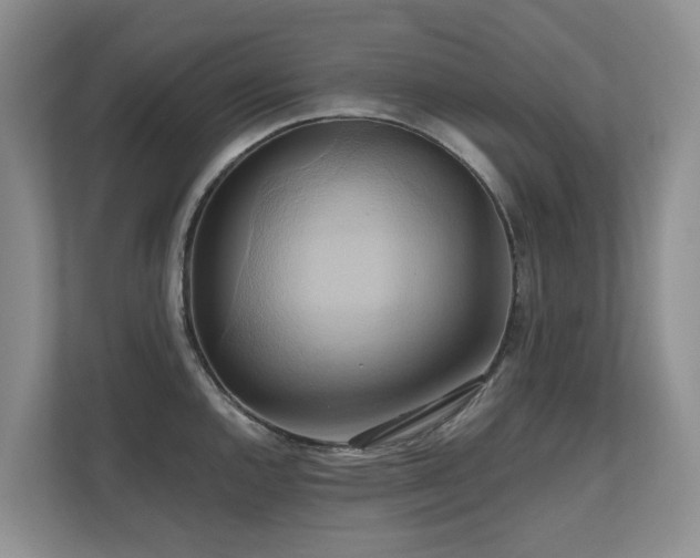 X0000110681144200906121201