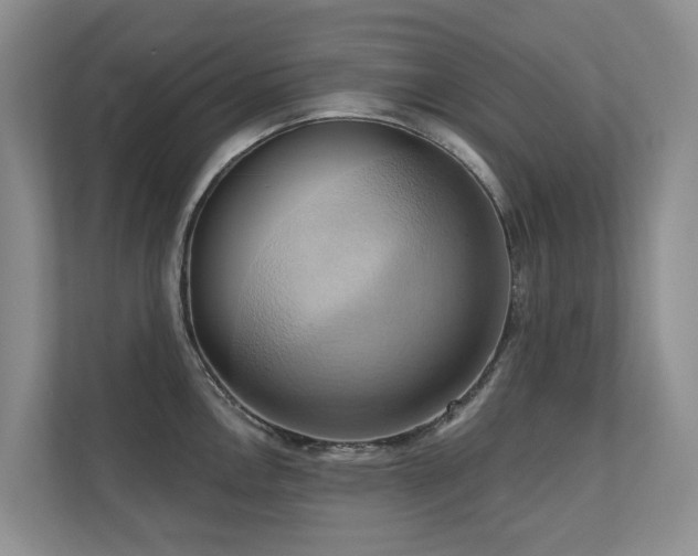 X0000110681146200906121201