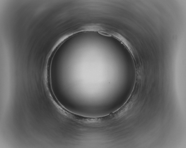 X0000110681147200906121201