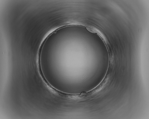 X0000110681149200906121201