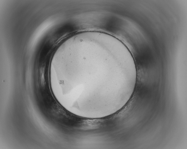 X0000110681150200906121201