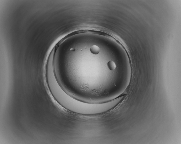 X0000110681152200906121201