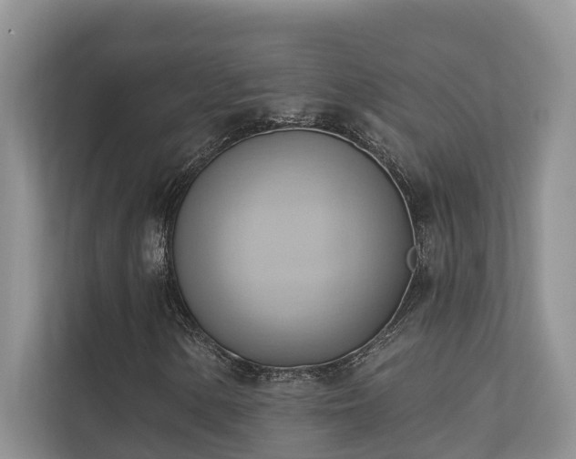 X0000110681154200906121200