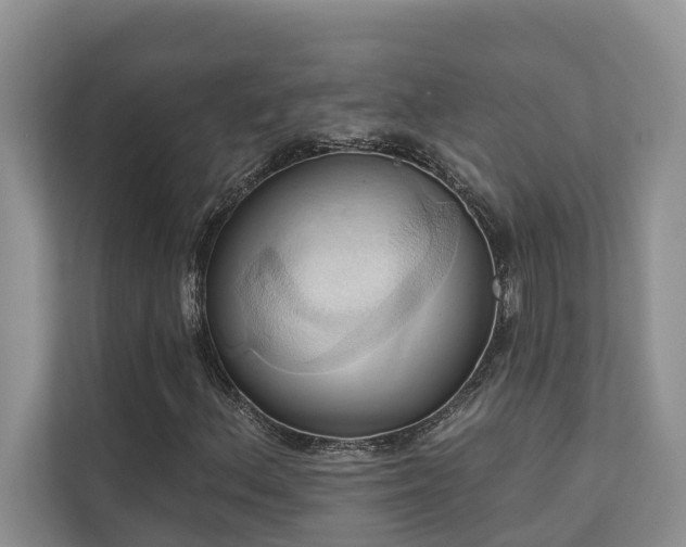 X0000110681156200906121200