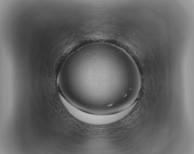 X0000110681157200906121200