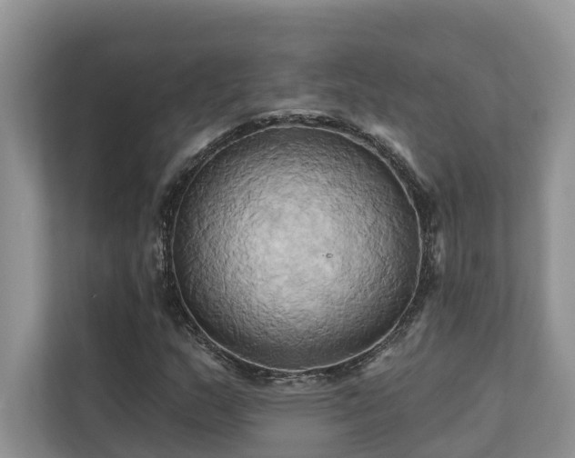 X0000110681159200906121200