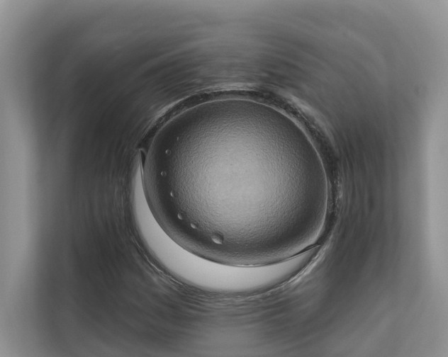 X0000110681161200906121200