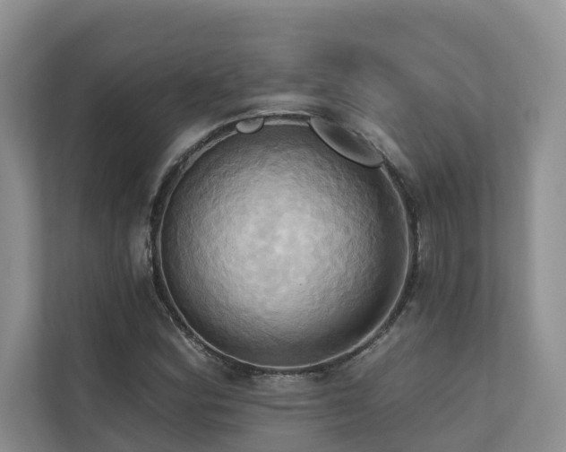 X0000110681164200906121200