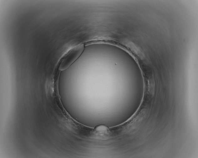 X0000110681165200906121200