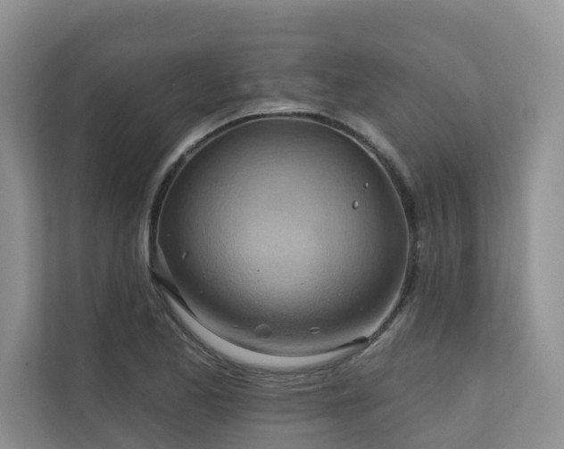 X0000110681173200906121200