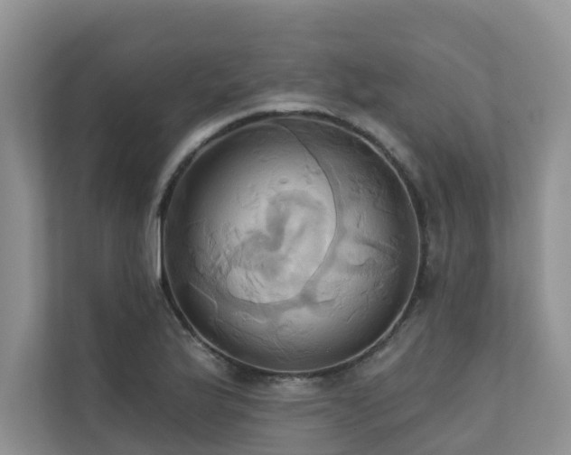 X0000110681175200906121200