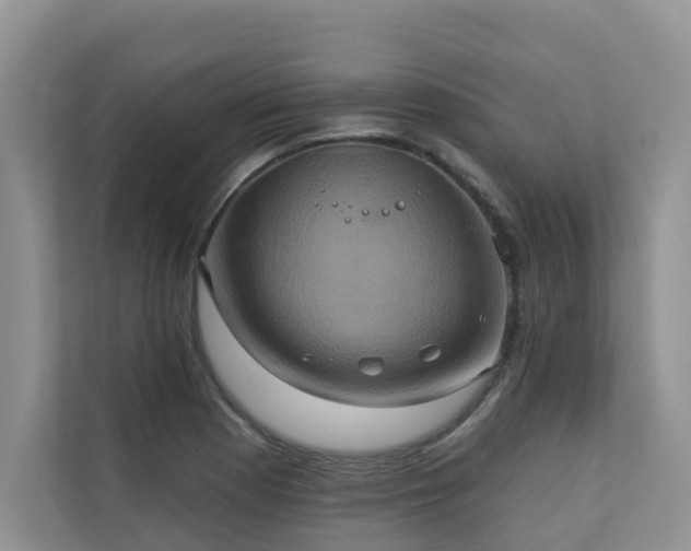 X0000110681177200906121200