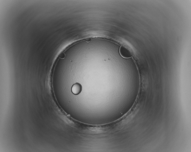 X0000110681182200906121200