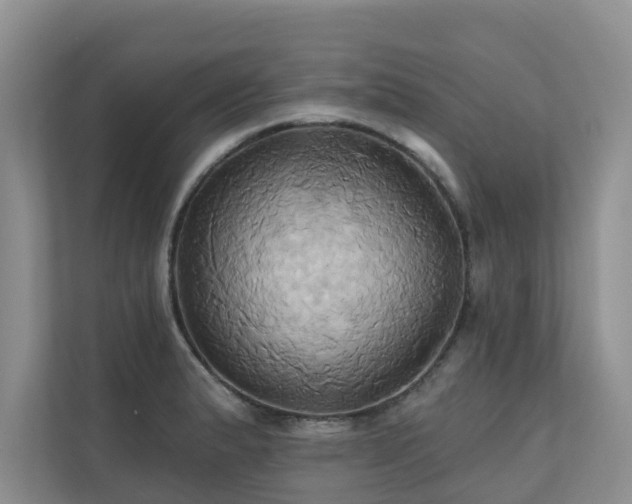 X0000110681183200906121200