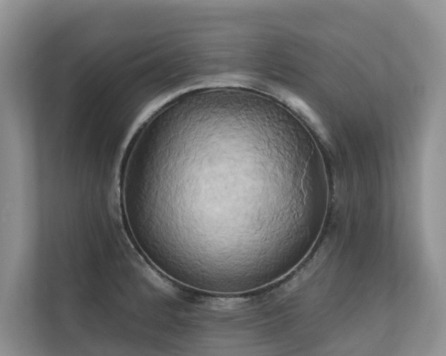 X0000110681184200906121200