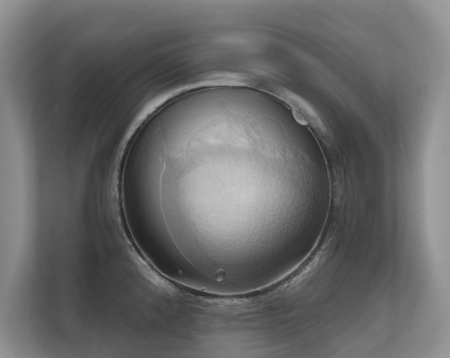 X0000110681192200906121200