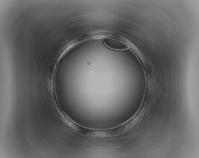 X0000110681194200906121159