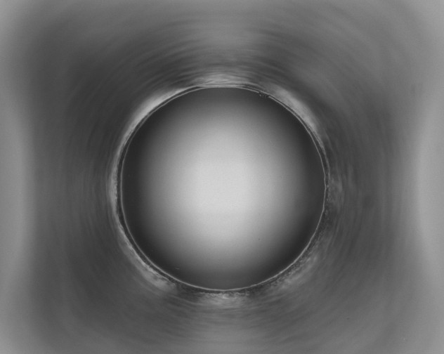 X0000110681195200906121159