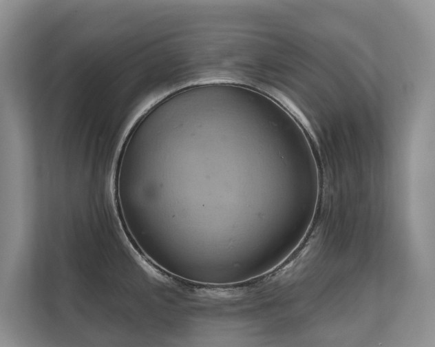 X0000110681197200906121159