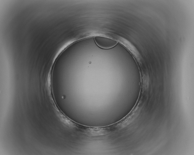X0000110681198200906121159