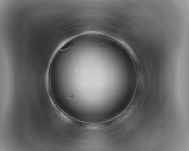 X0000110681199200906121159