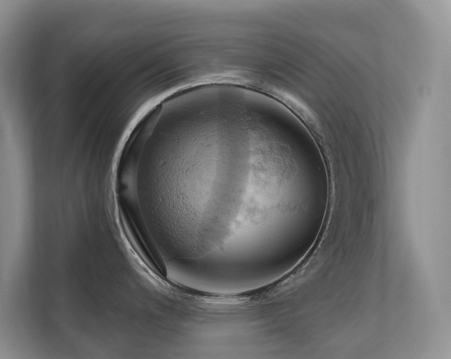 X0000110681200200906121159