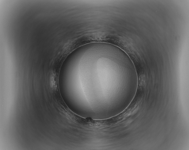 X0000110681202200906121159