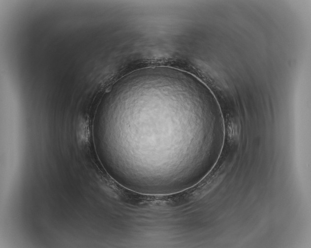 X0000110681204200906121159