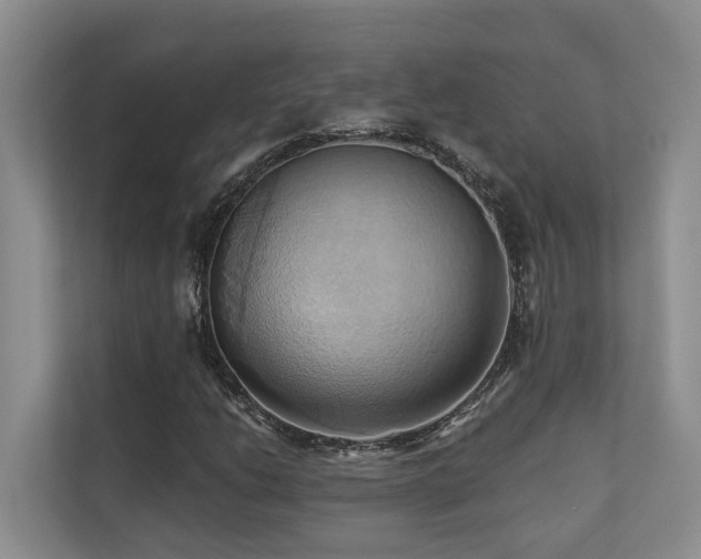 X0000110681206200906121159