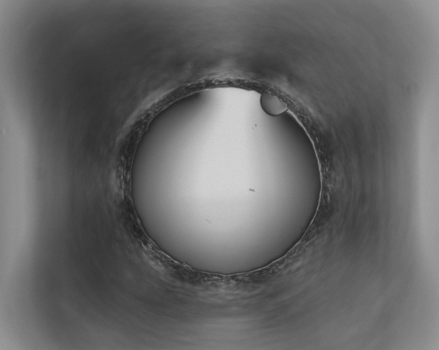 X0000110681207200906121159