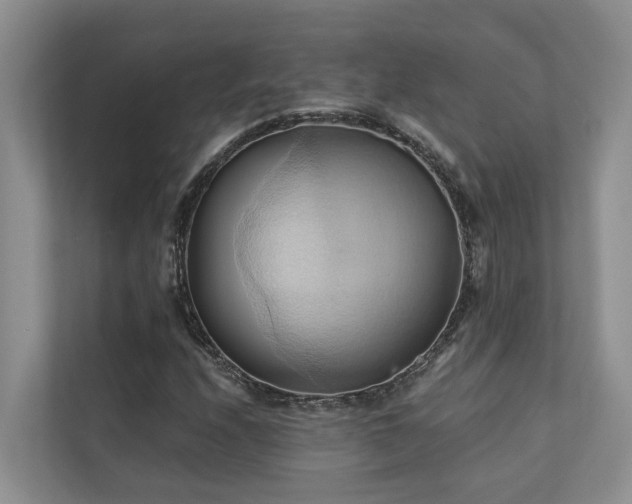 X0000110681208200906121159