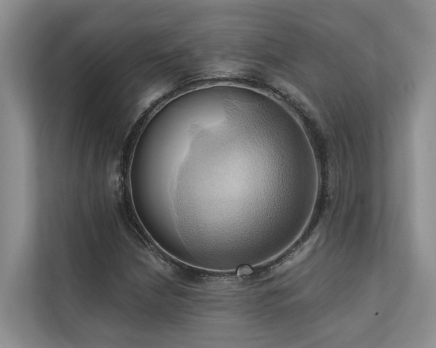 X0000110681210200906121159
