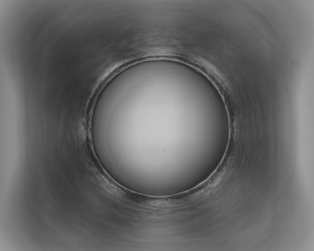 X0000110681212200906121159