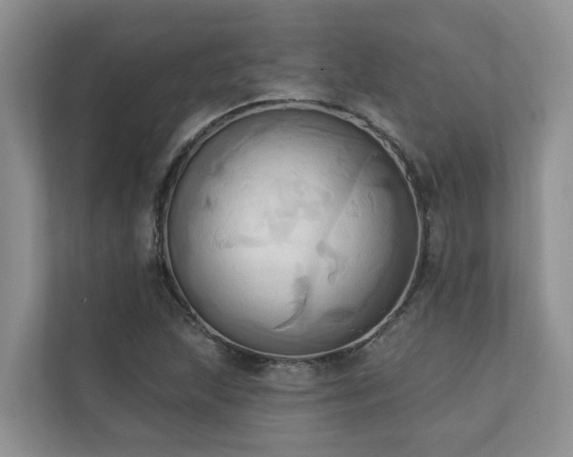 X0000110681215200906121159