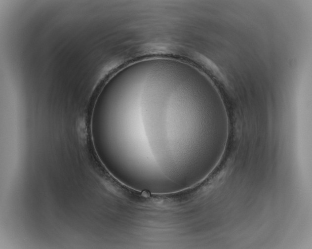 X0000110681218200906121159