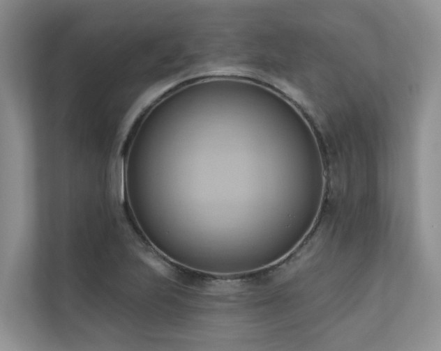 X0000110681223200906121159